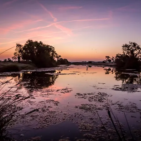 Soleya * Les Bussolleries