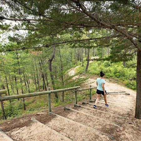 Villa Soleya Les Bussolleries